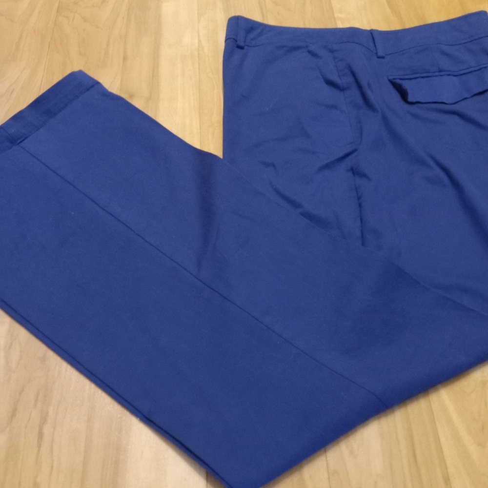 New York and Company pants.